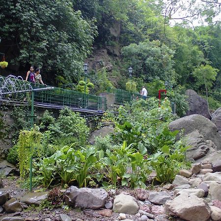 Savoy Greens Hotel Kasauli Eksteriør billede