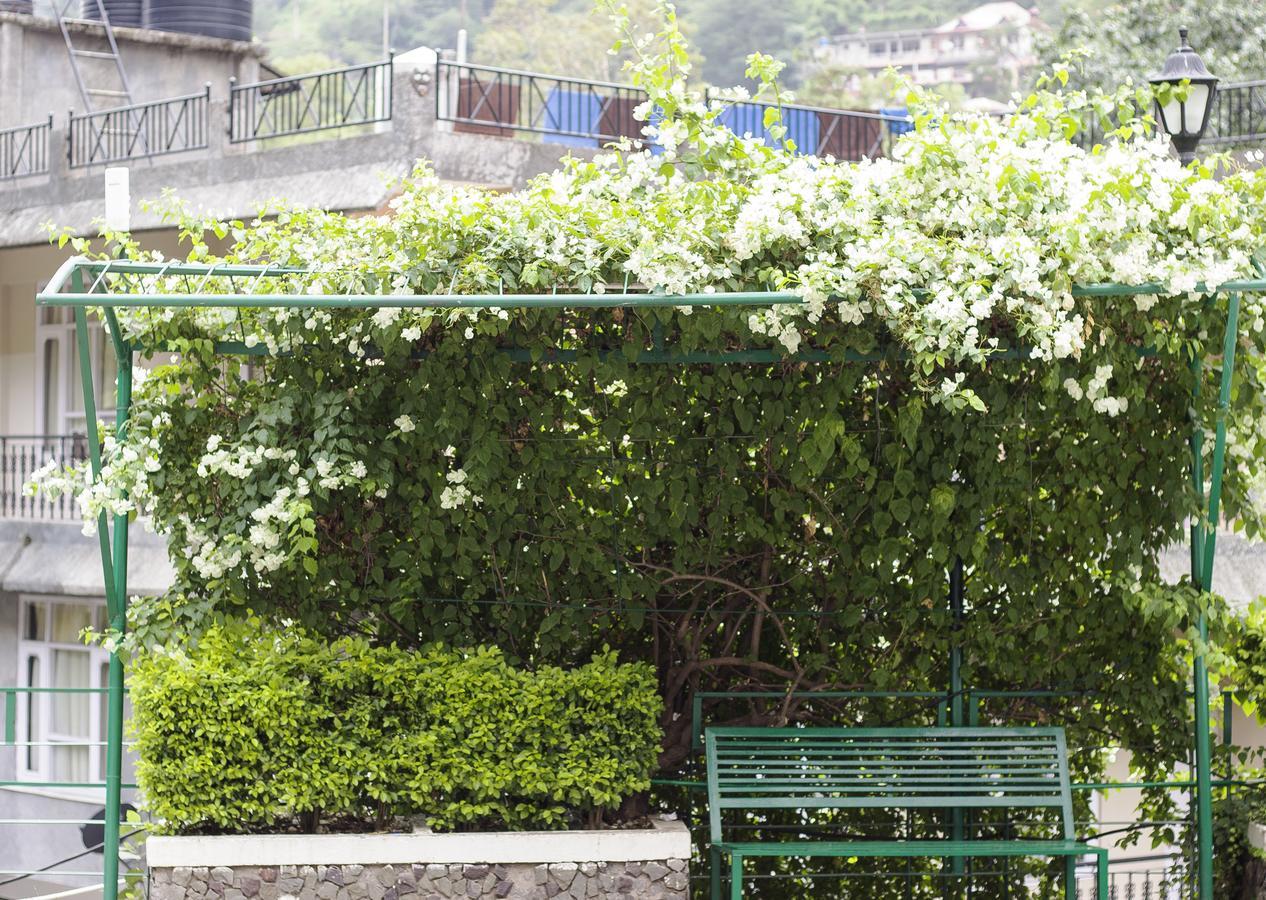 Savoy Greens Hotel Kasauli Eksteriør billede