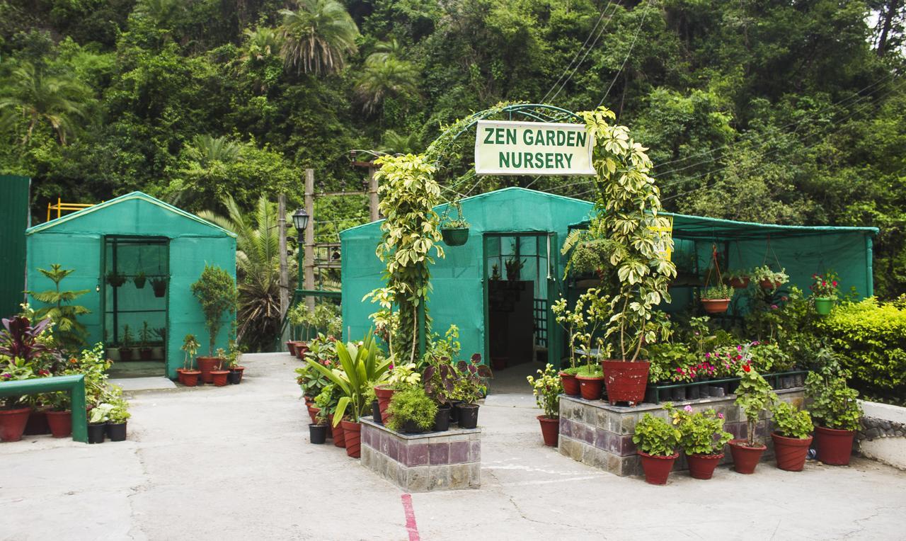 Savoy Greens Hotel Kasauli Eksteriør billede